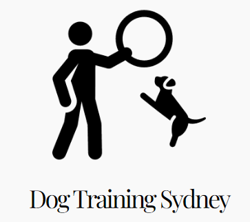 puppy training courses